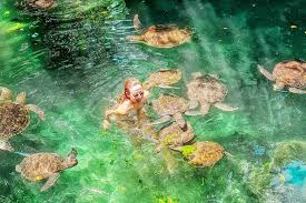 Natural Aquarium Tide Pools