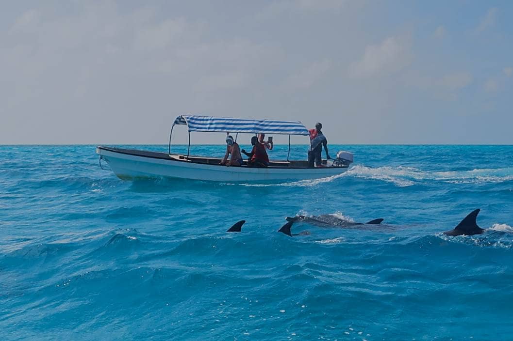 Sandbank stop