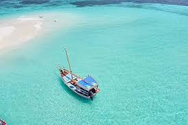 Snorkeling coral reefs