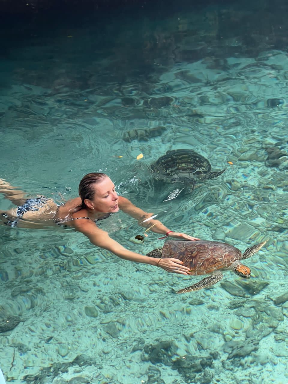 Salaam Aquarium Zanzibar